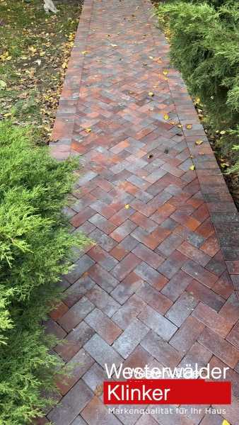 Тротуарная клинкерная брусчатка PK810 Violettblau geflammt 200/100/52 Westerwalder Klinker